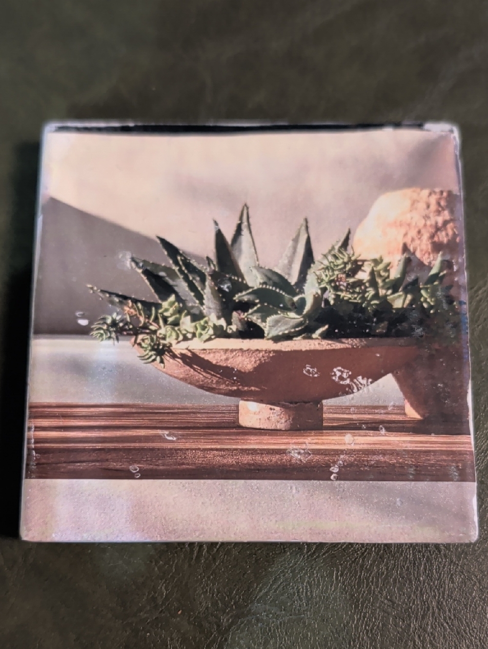 Succulent Bowl Decorative Coaster - Green & Tan MCM Handmade